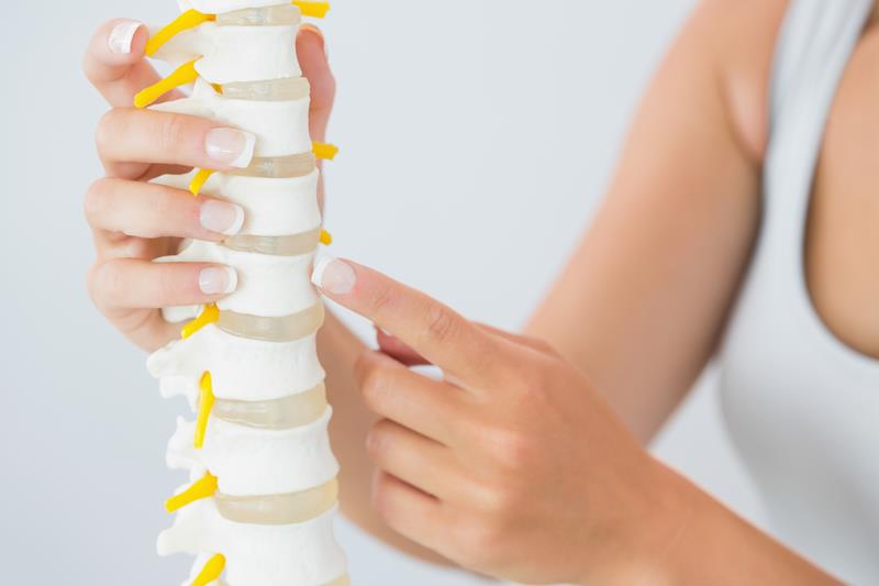 about our chiropractic office  Lovington, NM 